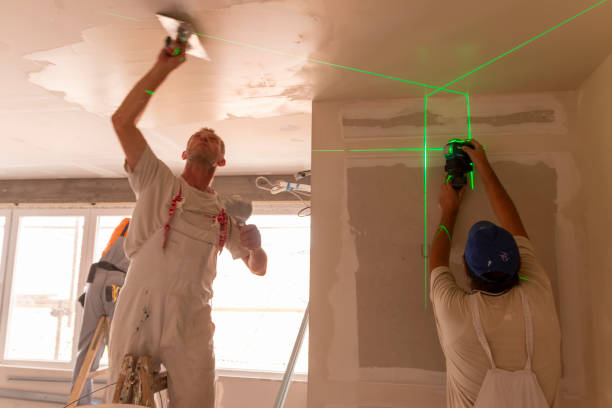 Professional Dry wall and painting in Strathmore, NJ